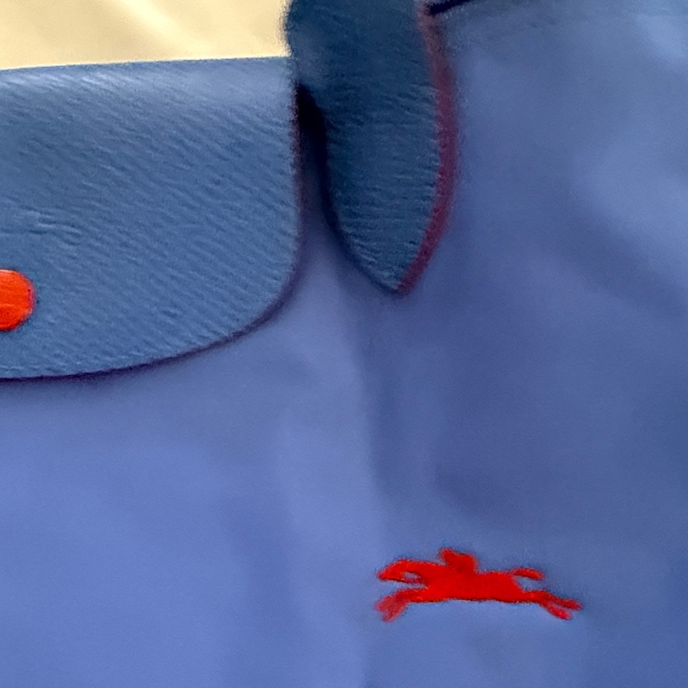 Longchamp Blue Tote with Red Trim - Picture 2 of 7